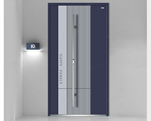 TSecurity Door 